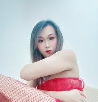 Mimi Ladyboy Sohar - Transsexual escort in Al Sohar