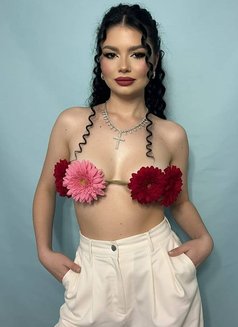 Mimi - escort in London Photo 7 of 12