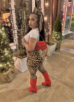 Mimi Miran - escort in Erbil Photo 1 of 4