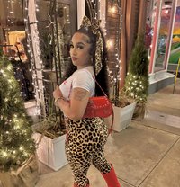 Mimi Miran - escort in Erbil