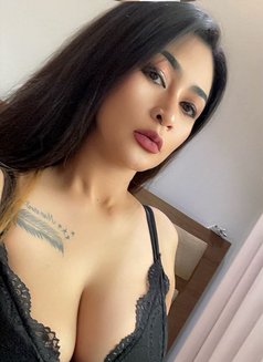 🪴🪻Sofia New Available🪻🪴 - escort in Dammam Photo 7 of 10