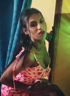 Mimi Roy - Transsexual escort in Kolkata Photo 15 of 15