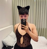 Mimi Sexy 69 🇹🇭🇶🇦 - Acompañantes transexual in Doha