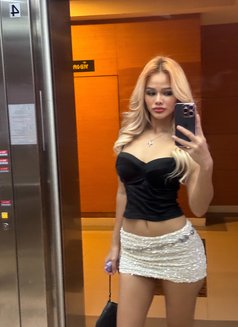 MiMi - escort in Bangkok Photo 14 of 15