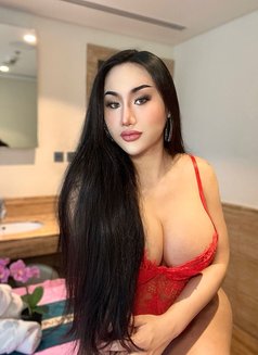 VIP MiMi Ladyboy Fujairah 🇦🇪 - Transsexual escort in Fujairah Photo 3 of 6
