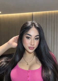 VIP MiMi Ladyboy Fujairah 🇦🇪 - Transsexual escort in Fujairah Photo 1 of 6