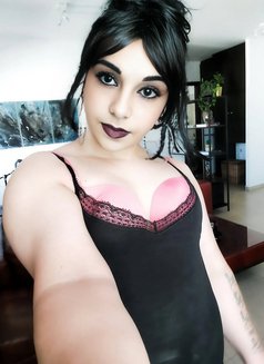 Mimi Ts - escort agency in Dubai Photo 17 of 29