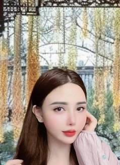 Mimii Lovely New In BKK - escort in Bangkok Photo 24 of 24