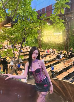 Min Transgender - Transsexual escort in Ho Chi Minh City Photo 22 of 22