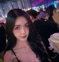 Min Transgender - Transsexual escort in Ho Chi Minh City
