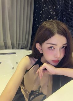 Min Transgender - Transsexual escort in Ho Chi Minh City Photo 29 of 29