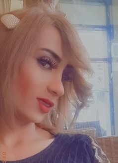 Mina - Transsexual escort in Tunis Photo 15 of 15
