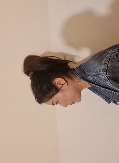 Mina - escort in Hai Phong Photo 1 of 1