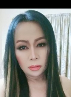 Mina - Transsexual escort in Al Manama Photo 1 of 6