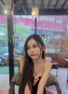 Mina - Transsexual escort in Johor Bahru Photo 15 of 15