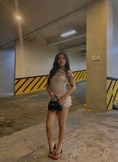 Minari - Transsexual escort in Manila Photo 2 of 6