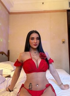 Mingyou09 - Transsexual escort in Manila Photo 6 of 27