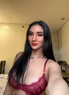 Mingyou09 - Transsexual escort in Manila Photo 14 of 27