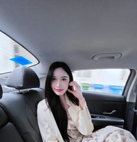 Pipi Hot Experiences Services - Transsexual escort in Dubai