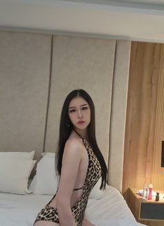 Minna - Transsexual escort in Riyadh Photo 3 of 12