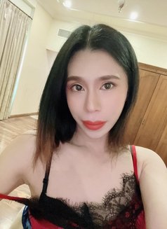 Candy new in Bahrain 🇧🇭 - Acompañantes transexual in Al Manama Photo 1 of 5
