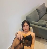 Minney - Transsexual escort in Al Manama