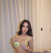 Minnie ladyboy Thailand 🇹🇭🦋 - Transsexual escort in Riyadh