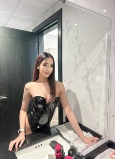 Minnie ladyboy Thailand 🇹🇭 - Transsexual escort in Riyadh Photo 4 of 18