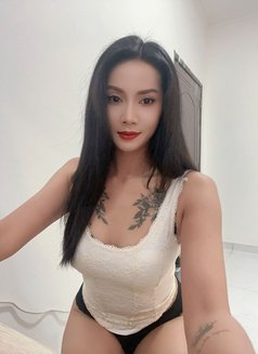 Minnie New in Mucsat - escort in Muscat Photo 16 of 17