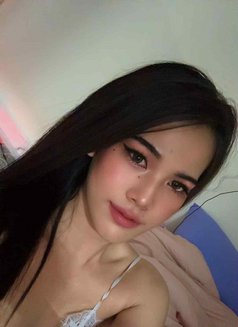 Minnie - Transsexual escort in Doha Photo 4 of 6