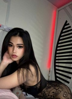Minnie - Transsexual escort in Doha Photo 3 of 8