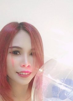 Minny'thai Petite girl with big breas - escort in Yokosuka Photo 11 of 11