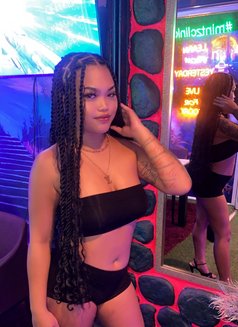 Mint - escort in Phuket Photo 13 of 16