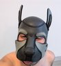 Minus the Pup - Male escort in Melbourne Photo 2 of 2