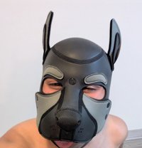 Minus the Pup - Male escort in Melbourne