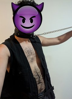 Minus the Pup - Male escort in Melbourne Photo 1 of 2
