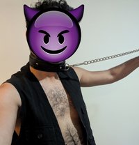 Minus the Pup - Male escort in Melbourne