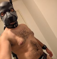 Minus - Male escort in Melbourne