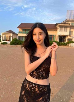 Anny Lee π»π³ - escort in Seoul Photo 11 of 24