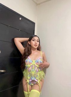 HUGE COCK Asha - Transsexual escort in Manila Photo 4 of 22