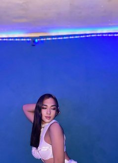 Mira "cam , meet , sext , content" - puta in Manila Photo 12 of 14