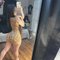 Mira - escort in Groningen