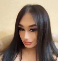 Mira Hot Dominant🇺🇦 - Transsexual escort in Doha