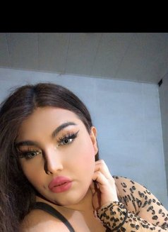 Mira - Transsexual escort in Beirut Photo 12 of 13