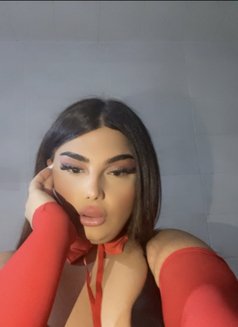 Mira - Transsexual escort in Beirut Photo 19 of 25