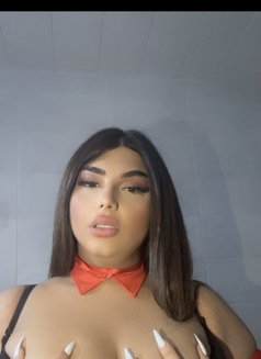 Mira - Transsexual escort in Beirut Photo 20 of 25