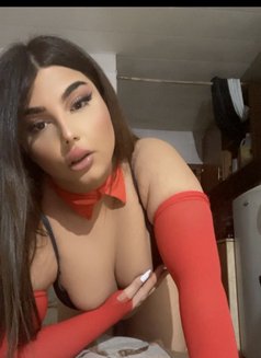 Mira - Transsexual escort in Beirut Photo 23 of 25