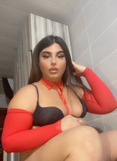 Mira - Transsexual escort in Beirut Photo 25 of 25
