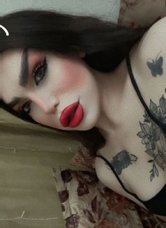 Mira - Acompañantes transexual in Damascus Photo 1 of 4