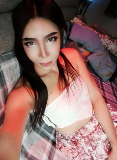 Mira - Transsexual escort in Al Manama Photo 10 of 10